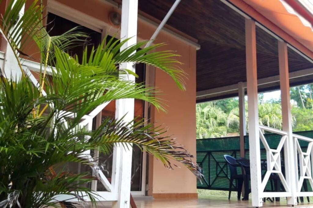 Résidence Ti'Kéol - Appartements avec terrasse 2 à 4 personnes, piscine Sainte-Anne Exterior foto